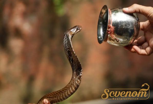 World trade statistics of Snake venom