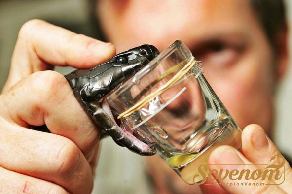 Different Snake venom types for sale