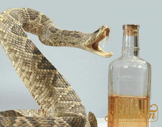 What is snake venom used for medically?