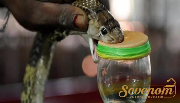 Bulk selling of Snake venom in 2021